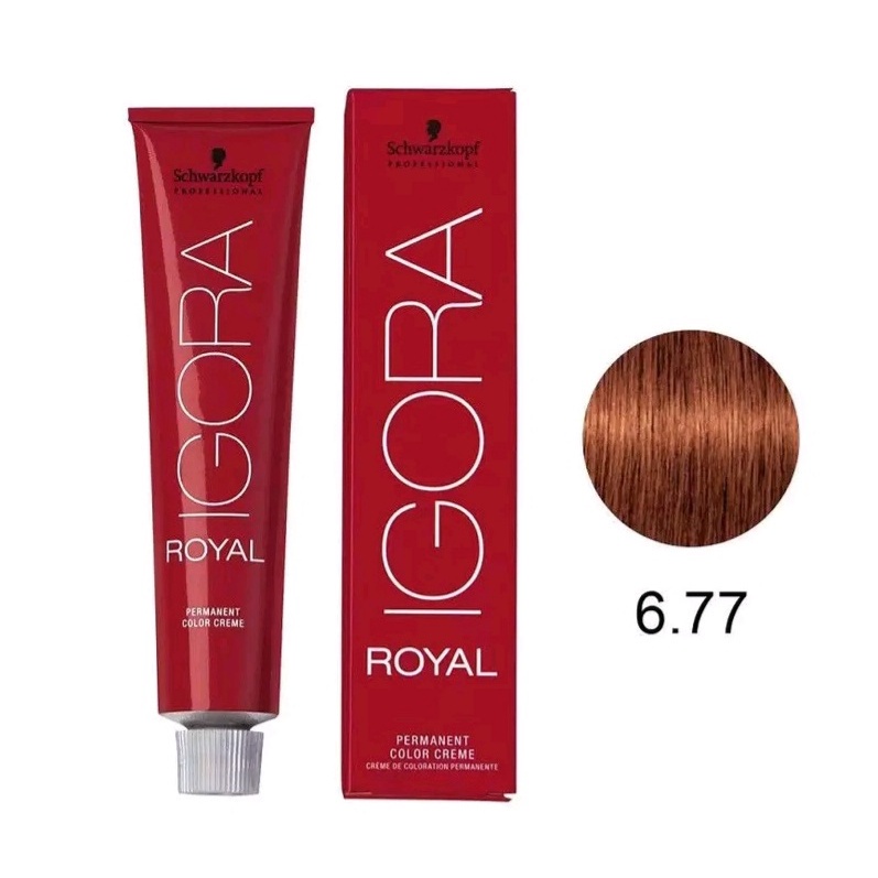 Igora Royal Schwarzkopf Professional Hair Color G Todos Los Tonos