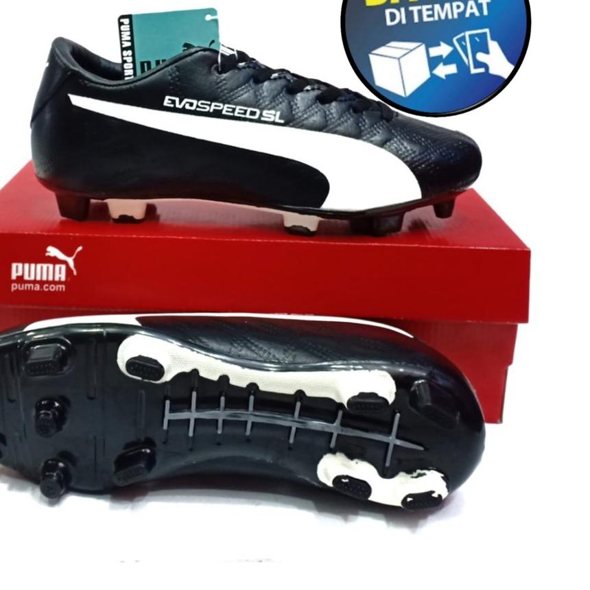 Puma evospeed futsal shoes best sale