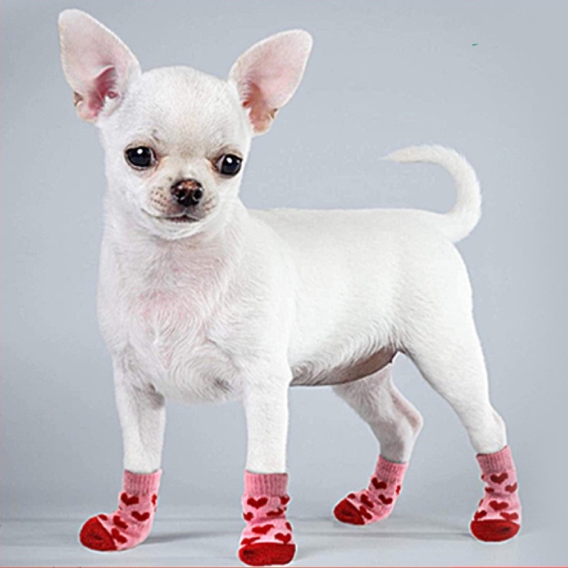 4 Unids/set Calcetines Para Perros Con Zapatos Antideslizantes, Calcetines  Tejidos Para Perros Y Gatos Cálidos Para Interiores, Ropa Para Mascotas De  Otoño Invierno, Suministros Para Mascotas, Moda de Mujer