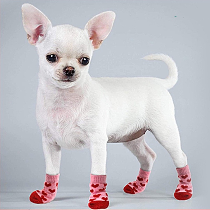 4 Unids/set Calcetines Para Mascotas Para Perros Y Gatos, Calcetines  Protectores, Cálidos, Hermosos Y Antideslizantes Para Mascotas Para Otoño E  Invierno, Mode de Mujer