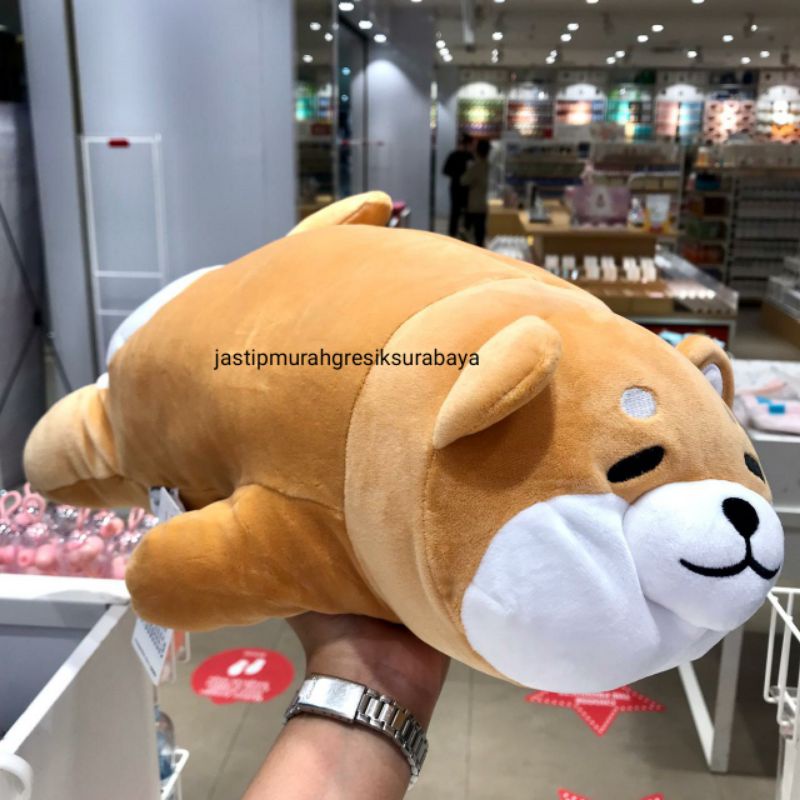 Shiba inu peluche miniso hot sale