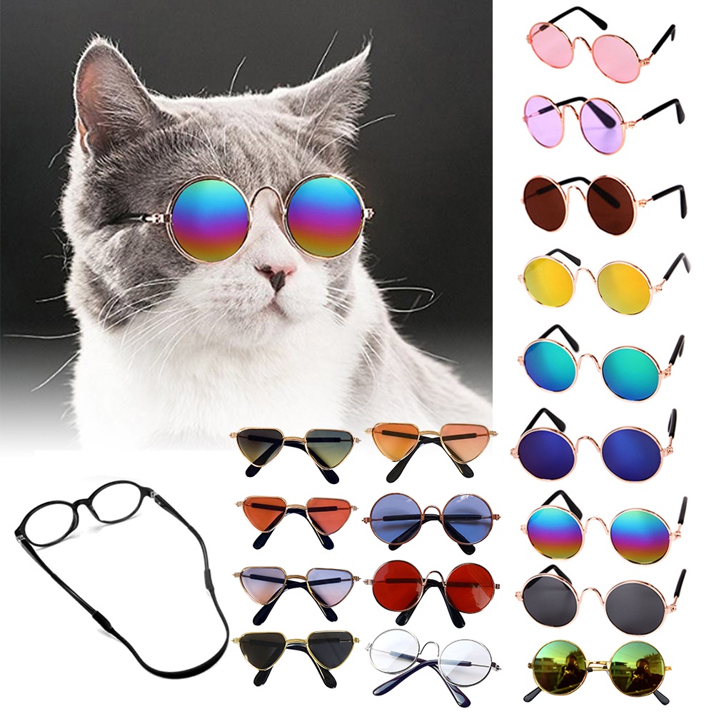 Gafas para perros online pequeños