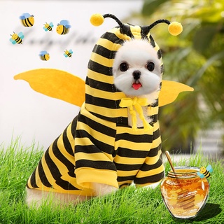 Alas de abeja para niños con antena Heaband - Disfraces de disfraz de abeja  para juegos de simulación para niñas, disfraz de princesa de hada, abeja