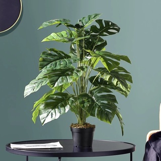 Plantas artificiales – Plantas artificiales, plantas decorativas para sala  de estar, plantas artificiales de interior, uso en interiores y exteriores