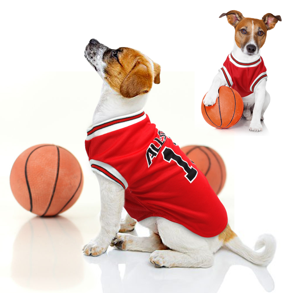  NBA PET Apparel. - Camisetas con licencia para perros y gatos  disponibles en 25 equipos de baloncesto y 5 tamaños de ropa para mascotas  lindas para todos los aficionados al deporte