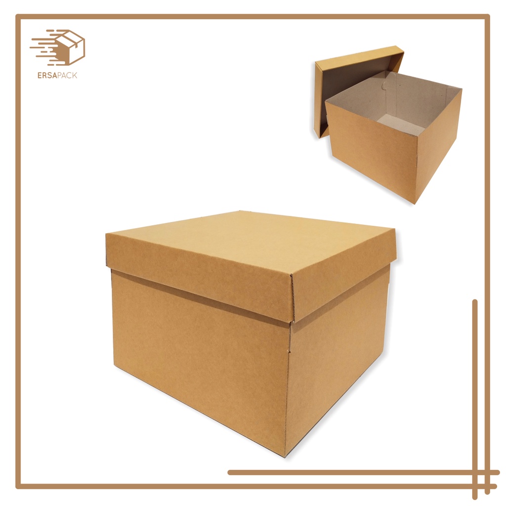 Cartón/caja (parte inferior superior) - tamaño 30x30 x 20 cm