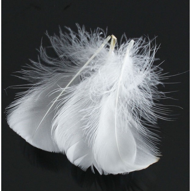 50 Pzs Plumas Blancas 5-10cm De Ganso Para Costum Craft Decoración De Boda  Material De Bricolaje