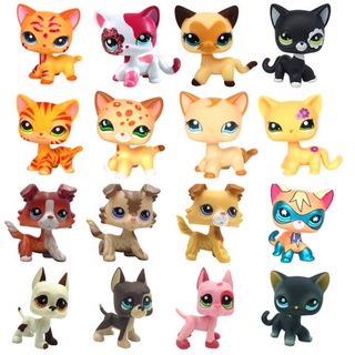 Lps Pet Shop Lindo Pelo Corto Juguetes para gatos Gran danés Collie Perros  Pvc Acción Stand Juguetes Figura Cosplay Dolls Modelo Toy Regalos para  niños