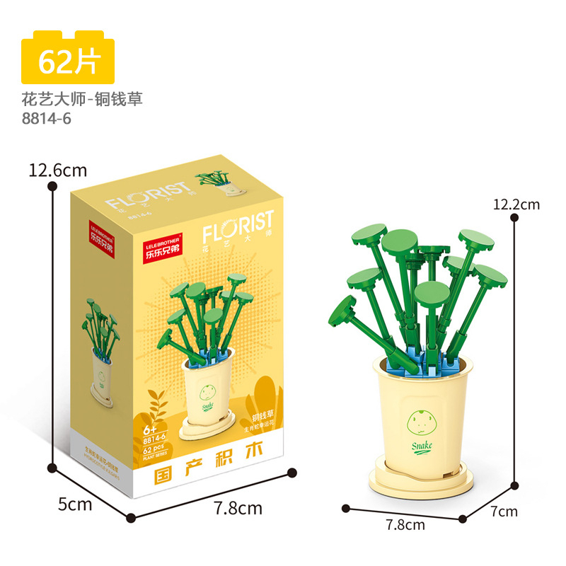 thumbnail image 1 of Maceta De Plantas Suculentas De Bloque DIY Para Niños, 1 of 5