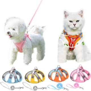 Arnés de perro a todo color para perros medianos sin tirones, accesorios  para correa, collares de arnés para gatos grandes y pequeños suministros