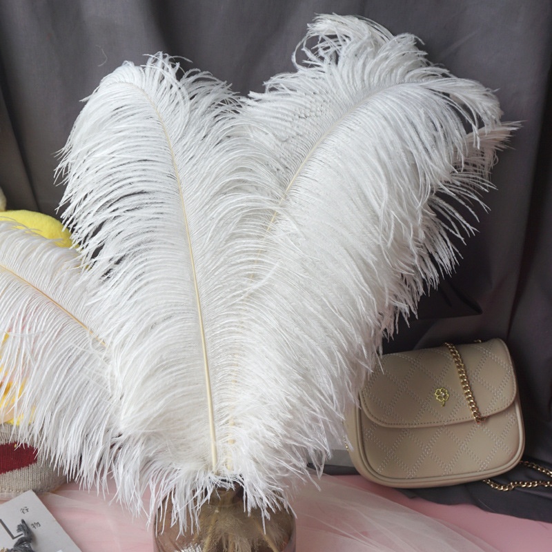 Larryhot Plumas de avestruz grandes beige a granel: 16-18 pulgadas, 10 piezas para centros de mesa de boda, arreglos florales y decoración del hogar (beige