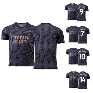 Camiseta de Entrenamiento Arsenal 2022-2023 Sin Mangas Gris