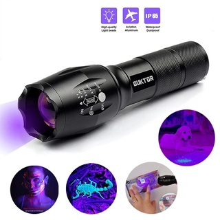 Linterna UV LED ultravioleta con zoom, Mini luces ultravioleta, lámpara de  inspección de 395/365nm, herramientas