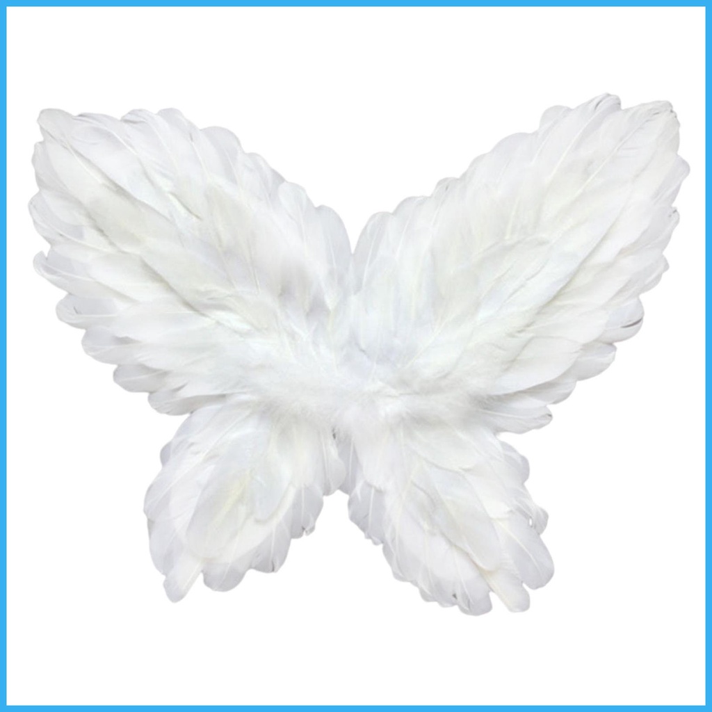 Comprar online Alas de Mariposa Blancas Eco