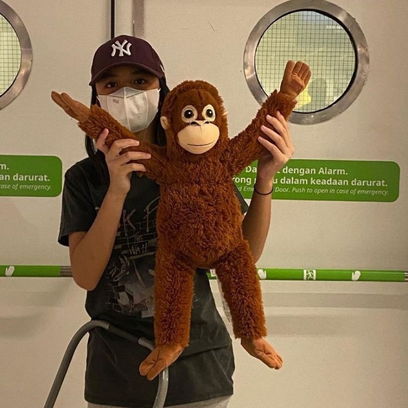 Muneca De Mono Ikea Orangutan Material Suave SNI