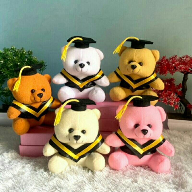 LOGOFUN - Muñeca De Oso De Graduación Para Regalo De Graduación De