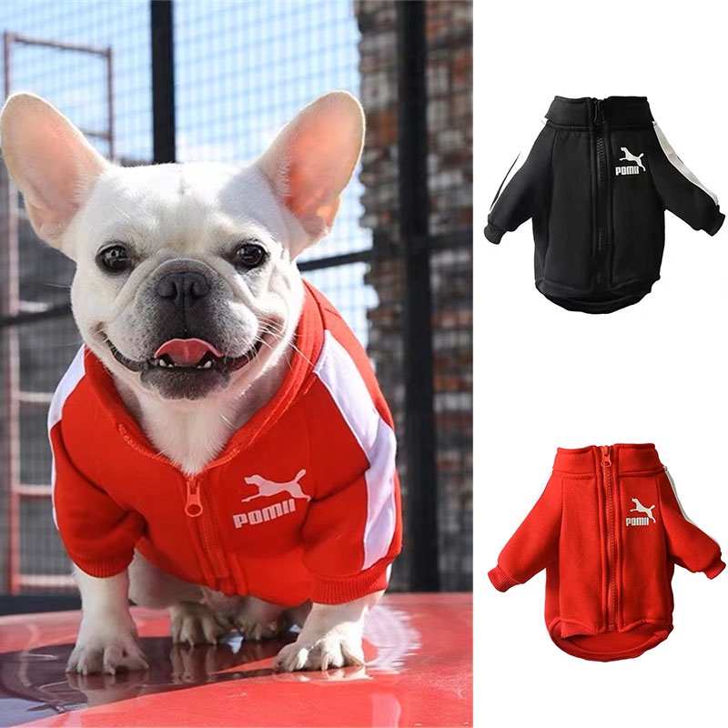 Puma dog clothes hotsell