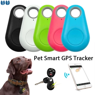 Gps collar tag best sale