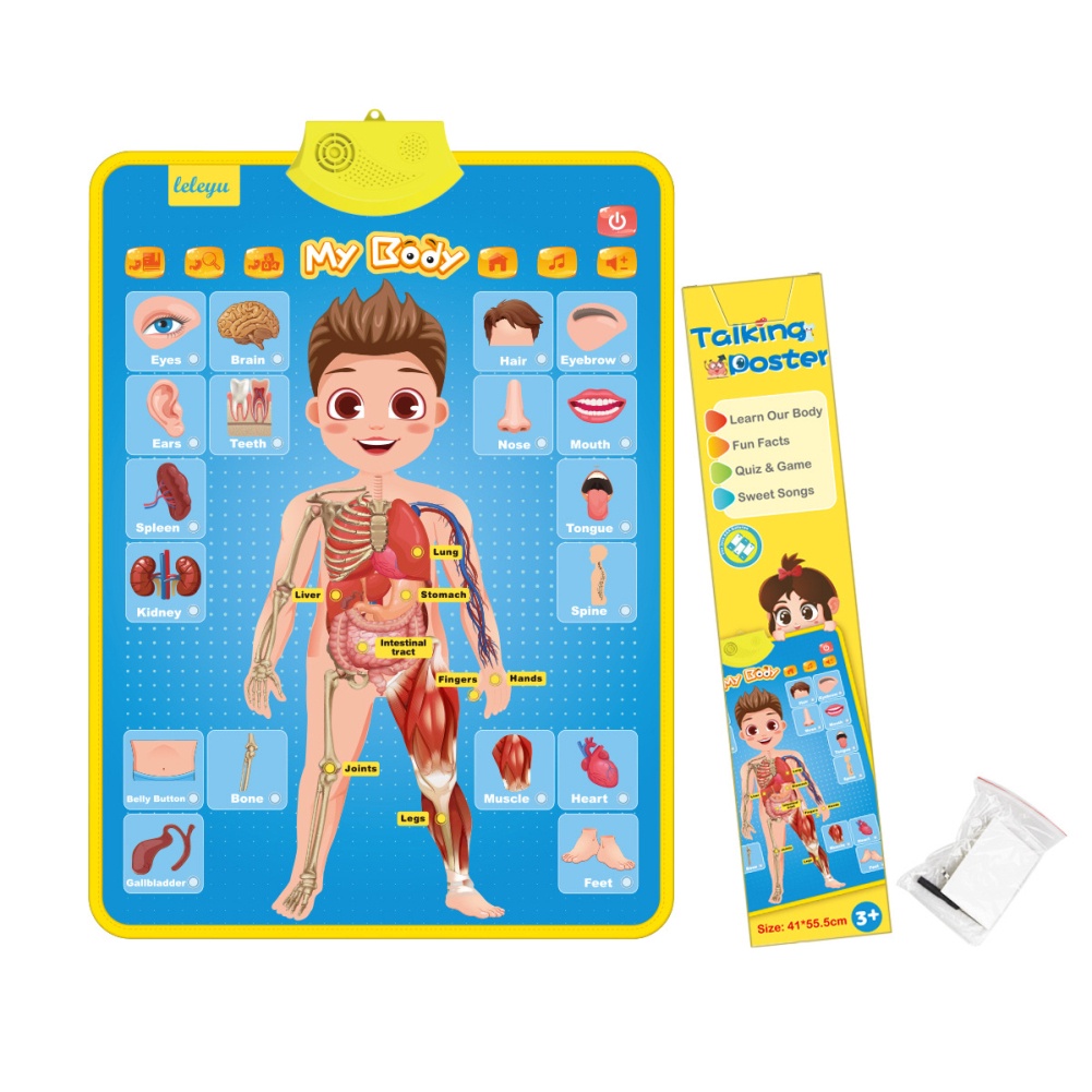 Leer juguetes Gráfico de pared de educación temprana de PVC Aprender