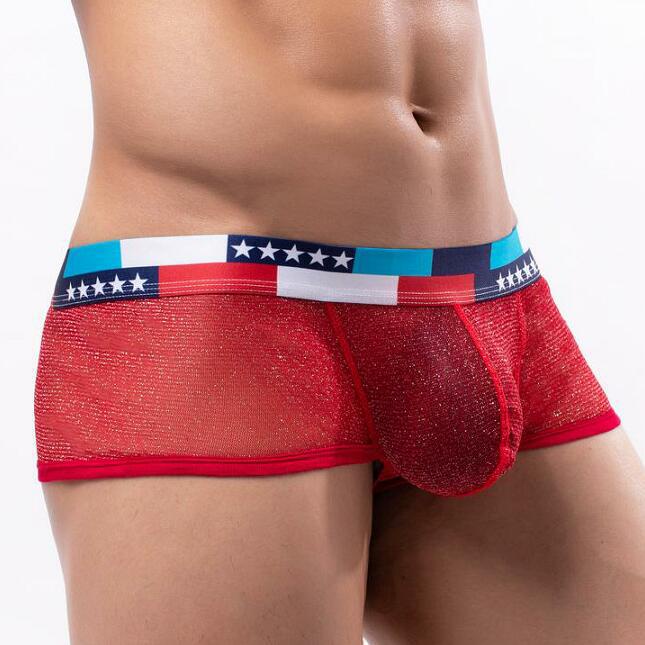 Calzoncillos Bóxer Transparentes Para Hombre - Diseño Sexy Y Cómodo, Varios Colores