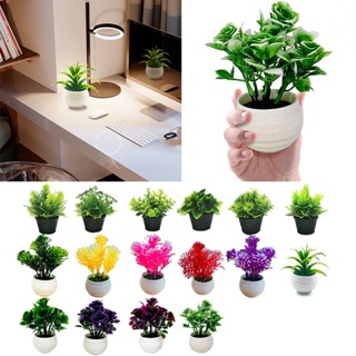 10 ideas de Plantas decorativas  plantas, plantillas decorativas, plantas  de interior