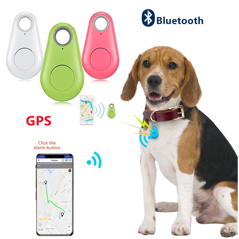 Collar reflectante con GPS para gato, con soportes localizadores, campana de  seguridad, rastreador ligero, collares para gatos y perros pequeños -  AliExpress