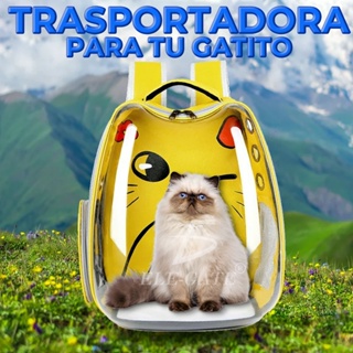 Porta gatos traslada a tu discount gato de manera cómoda y segura