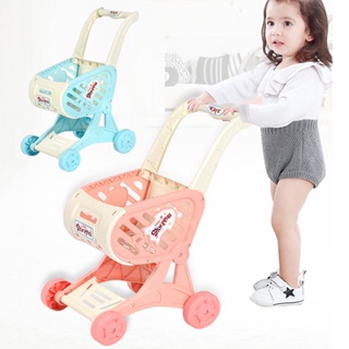 Carrito de compras para niños, carrito de compras de juguete con cesta y  juego de alimentos de 24 piezas, carrito de compras pequeño, carrito de  compras plegable para niños, carrito de compras para : Juguetes y Juegos 