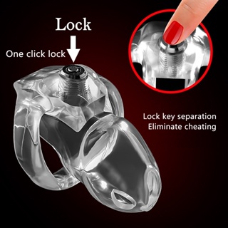 Jaula de dispositivo de castidad masculina pequeña/cinturón de castidad de  acero inoxidable con 4 tornillos/juguete sexual anillo de pene para  adultos/dispositivo de castidad anillo de bloqueo de pene -  México