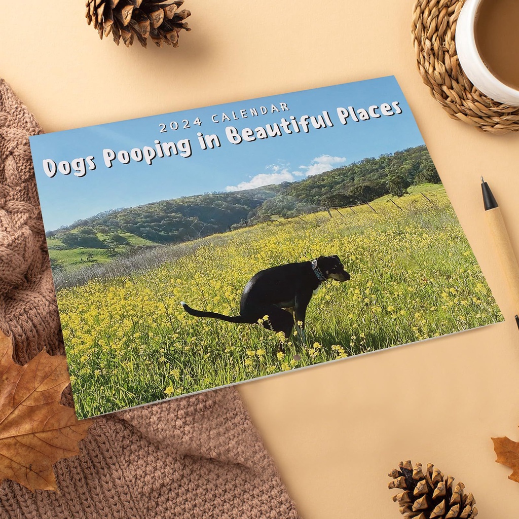 Calendario 2024Perros Caca En Lugares Hermosos De ParedEnero 2024