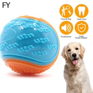 Teething Pet Toy Dog Solid Toy Ball, Pelota interactiva para perros