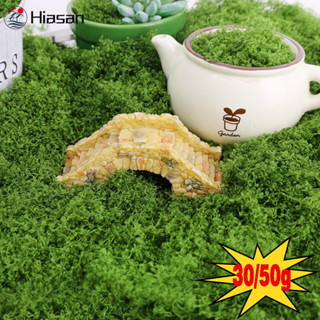 1 Paquete/50g De Musgo Artificial Para Decoración De Paisajes Y Arreglos  Florales Diy, Moda de Mujer