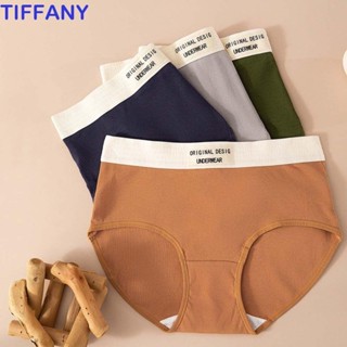 Paquete de 5 calzones de encaje transpirable para mujer, ropa interior  elástica, cintura baja, malla hipster, sin costuras, ropa interior cómoda