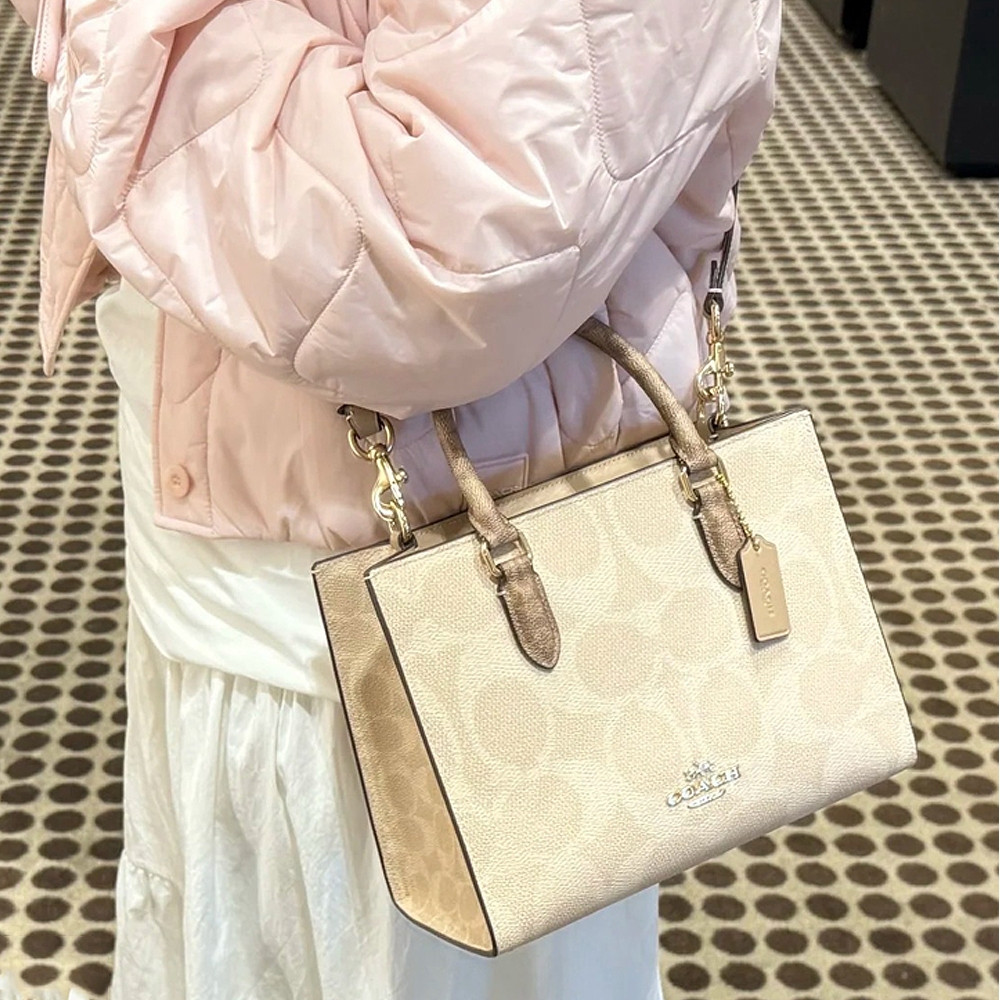 bolsa coach Shopee México