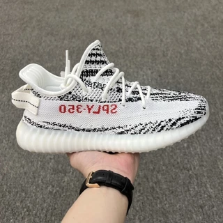 adidas yeezy Shopee Mexico