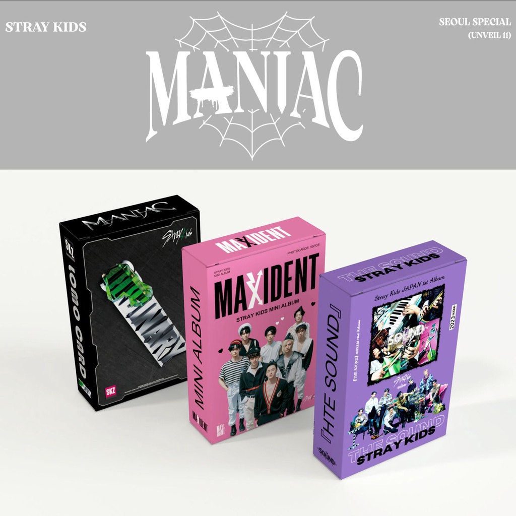 Kpop Stray Kids MANIAC ENCORE In JAPAN Lomo Card Photocards Postal ...